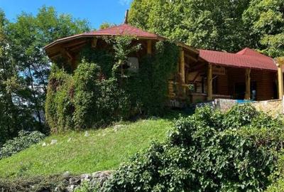 Casă cu 6 camere cu Teren 17000 Mp în Dumbrăvița - 17