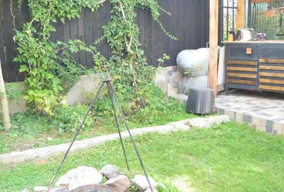 Casa ta la munte te asteapta - 2