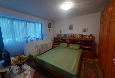 Drumul Taberei, Parc Moghioros - 5