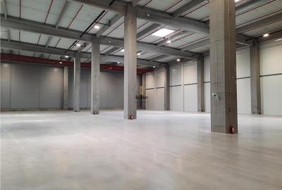 Spatiu Industrial - 5300 mp - Logistica - Productie - Depozitare - Distributie - 7