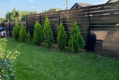 CASA INDIVIDUALA DE VANZARE-3 CAMERE-2 BAI-DRESSING-TEREN 340 MP - 3