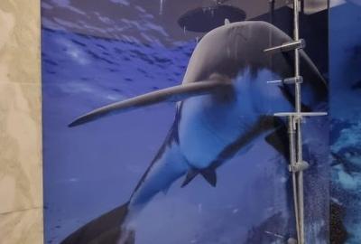 Penthouse cu 5 camere decomandat, mobilat în Central - 29