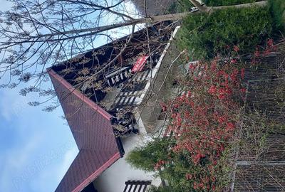 Pensiunea HAVVA Pensiunea HAVVA - 4