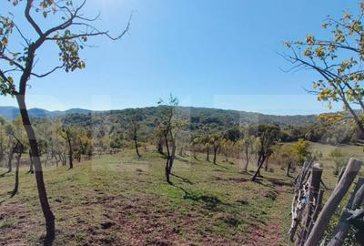 Teren extravilan cu priveli?te superba , livada ?i poten? - 19