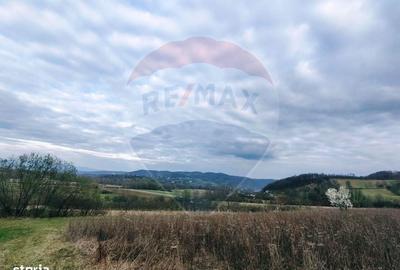 Spațiu comercial, în Copalnic - 3