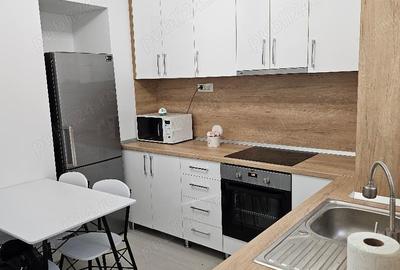 Chirie 2 cam ultracentral-Piata Unirii ,mobilat , dotat, parter, lux , gaz - 13