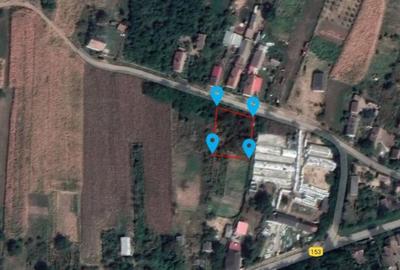 Teren de 896 mp, în Cherechiu - 5