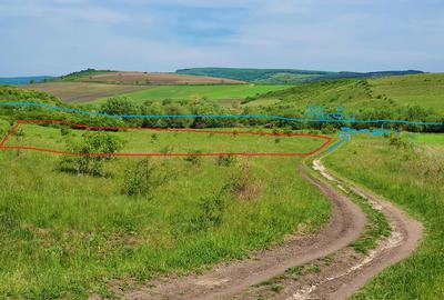 Teren agricol extravilan de 3000 mp, în Borșa - 1