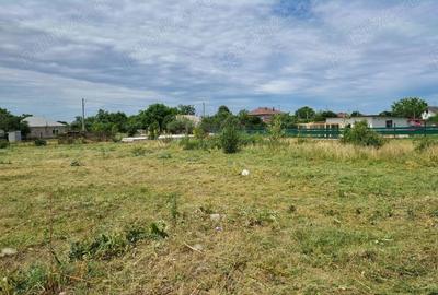 Teren de 972 mp, în Tânganu - 3