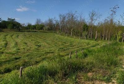 Teren de 2500 mp, în Mihăilești - 2