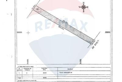 Teren agricol intravilan de 5000 mp, în Dobroești - 4