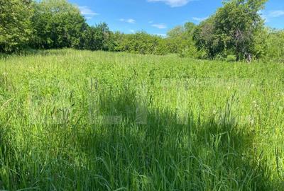 Casa si teren de vanzare, 2000 mp, zona Dragoiesti - 6