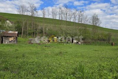 Teren Construcții intravilan de 5000 mp, în Ciurila - 3
