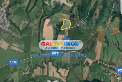 Teren 60000 mp, in Plopu, la 10 km de Ploiesti - 7