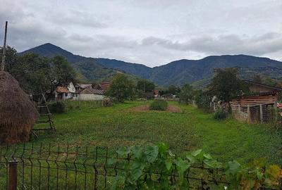 Teren de 36000 mp, în Prundu Bârgăului - 3