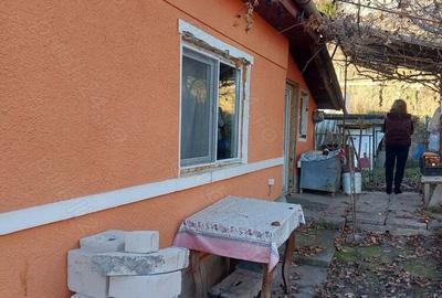 Vand casa la tara - 4