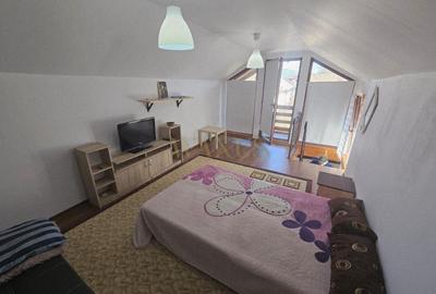 Casă individuală cu 1 camere cu Teren 500 Mp în Rusu Bârgăului - 3