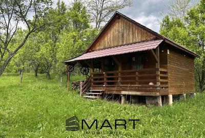 Teren intravilan 3102mp zona Racovita-Blanoiu