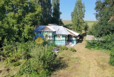 Casă cu 2 camere cu Teren 4500 Mp în Mastacăn (Dragomirești) - 8