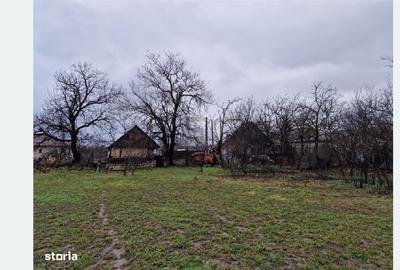 Teren Construcții intravilan de 4600 mp, în Gepiu - 5