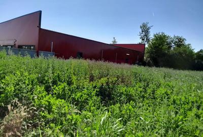 Movilita (IL)-teren de inchiriat aprox. 2 ha stradal, lan... - 1
