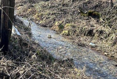 Spațiu comercial, în Odvoș - 2