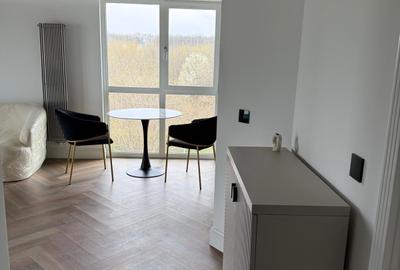 Apartament cu 2 camere semidecomandat, mobilat în Podul de Fier - 11