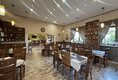 RESTAURANT GYULA | UNGARIA | PANOURI SOLARE | 245 MP |  TERASA PE LAC - 12