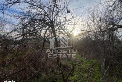 Casă cu 4 camere în Remetea Mică - 3