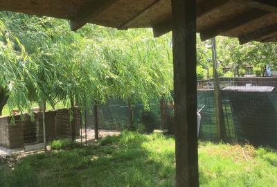 Proprietar ofera casa de vanzare ?i spa?iu comercial - 8