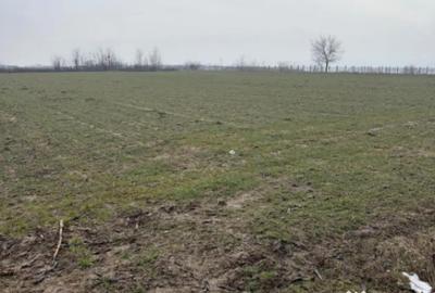 Teren în Central - 1