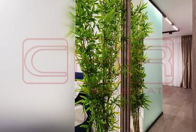 Garsoniera Aviatiei, General Stefan Burileanu, #909 - 6