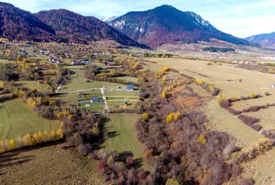 Teren Construcții intravilan de 2500 mp, în Tohănița - 2