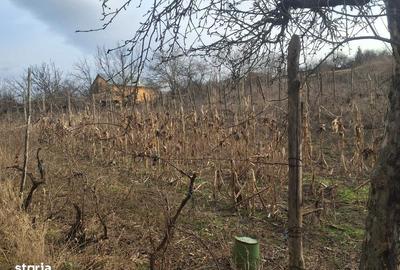 Casă cu 2 camere cu Teren 80 Mp în Central - 2