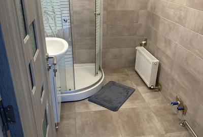 Casă cu 6 camere în Iosefin - 8