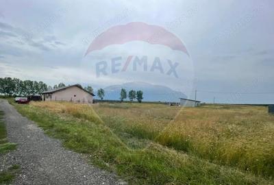 Teren de vanzare 450mp in Cartierul rezidential Europa Pecica zona 500 - 1