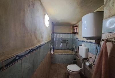 RECO  casa batraneasca Salard - 19