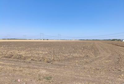 Teren Construcții intravilan de 510 mp, în Vidra - 3