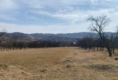 Teren intravilan construibil 4.149 mp, 28 m front – Ogretin (Drajna), utilități - 9