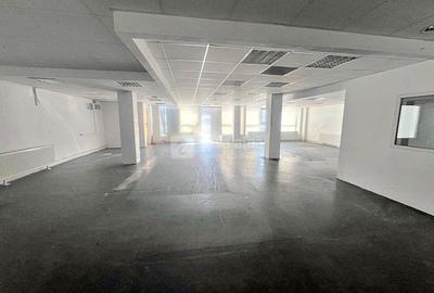 Tatarasi - Doi Baieti, spatiu 236mp, productie / depozitare - 3