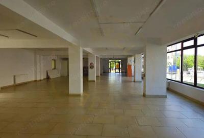 Spațiu comercial, de 380 mp, în Curtea de Argeș - 2