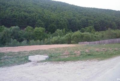 Teren de 2000 mp, în Lisnău - 2
