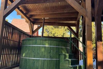 Vila de vanatoare in Santimbru-Bai - 12