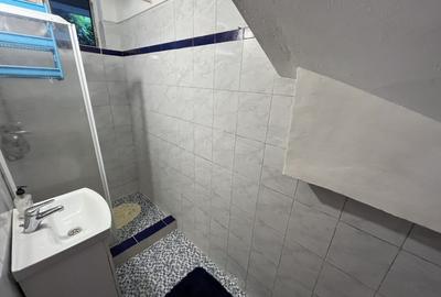 Apartament cu doua camere Calea Lipovei - 8