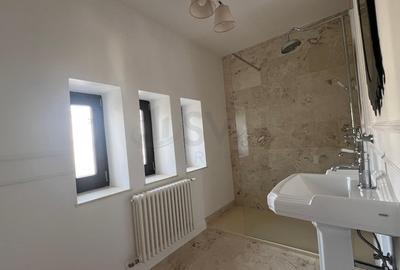 Casă individuală cu 11 camere cu Canalizare în Capitale - 11