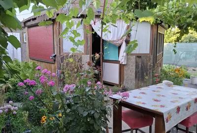 Casă cu 3 camere cu Teren 650 Mp în Sfântu Gheorghe - 10