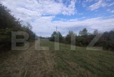 Teren extravilan in suprafata de 35 de ari, zona Beclenut, i - 3