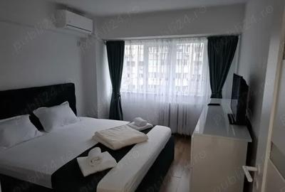 Apartament cu 3 camere decomandat în Banu Manta - 8