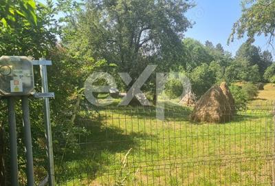 Teren Construcții intravilan de 6348 mp, în Corbeni - 8