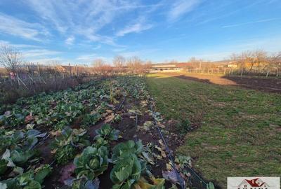 Vanzare casa in Craciunelu de Jos 1700 mp teren - 9